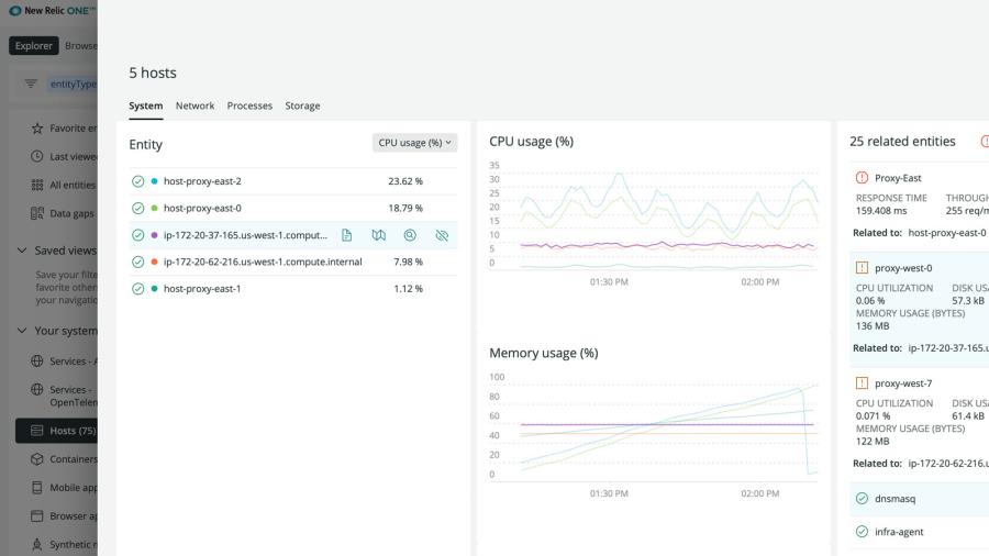 New Relic product screen capture